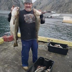 Meet your Posher, Ted